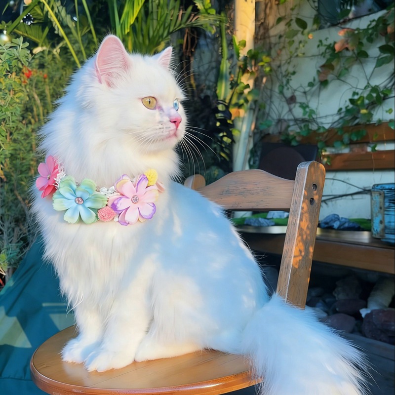 Photography Basics - ゴージャスなカラフルな花のペットの首輪猫ネックレス調節可能な猫よだれかけ甘い猫/犬の首輪ペットアクセサリー写真撮影小道具