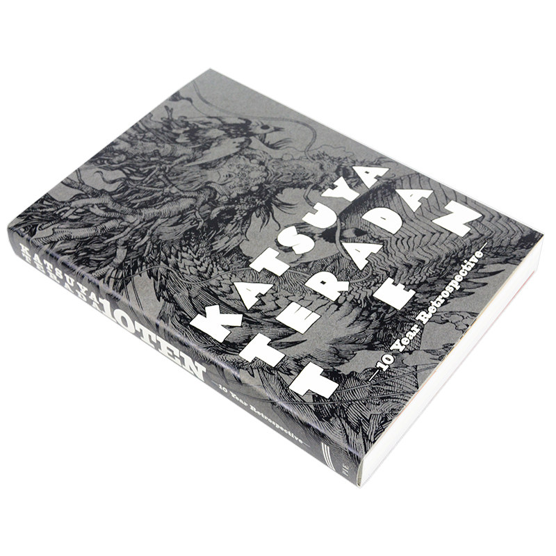 鷹田勝也 10年展 日本美術書 アートコレクション＆設定書  - Photography Book のレビューと価格