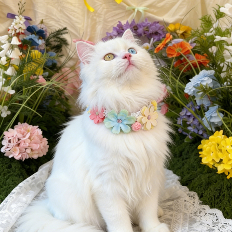 ゴージャスなカラフルな花のペットの首輪猫ネックレス調節可能な - Photography Basics のレビューと価格